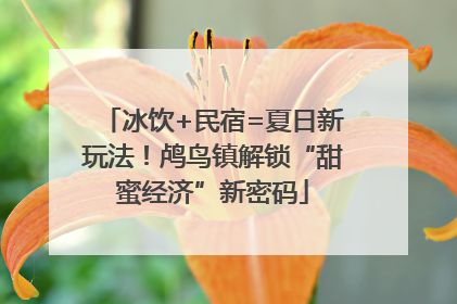 冰饮+民宿=夏日新玩法！鸬鸟镇解锁“甜蜜经济”新密码