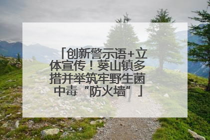 创新警示语+立体宣传！葵山镇多措并举筑牢野生菌中毒“防火墙”
