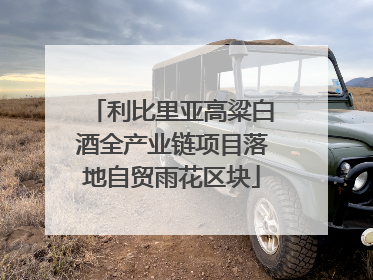 利比里亚高粱白酒全产业链项目落地自贸雨花区块
