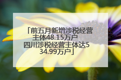 前五月新增涉税经营主体48.15万户 四川涉税经营主体达534.99万户