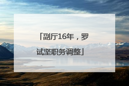 副厅16年，罗试坚职务调整