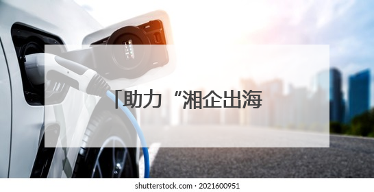 助力“湘企出海”，湖南省湘非经贸商会成立