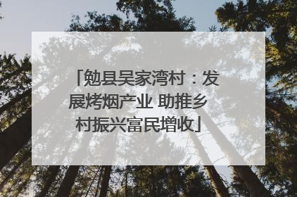 勉县吴家湾村：发展烤烟产业 助推乡村振兴富民增收