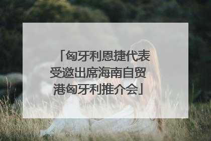 匈牙利恩捷代表受邀出席海南自贸港匈牙利推介会