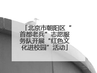 北京市朝阳区“首都老兵”志愿服务队开展“红色文化进校园”活动