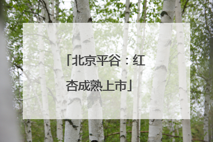 北京平谷：红杏成熟上市
