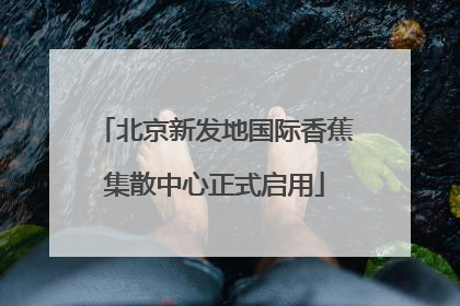 北京新发地国际香蕉集散中心正式启用