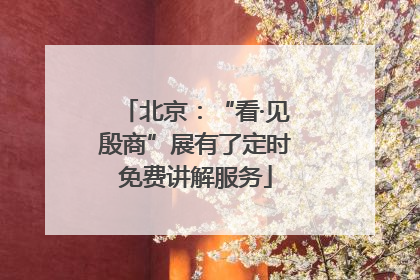 北京：“看·见殷商”展有了定时免费讲解服务