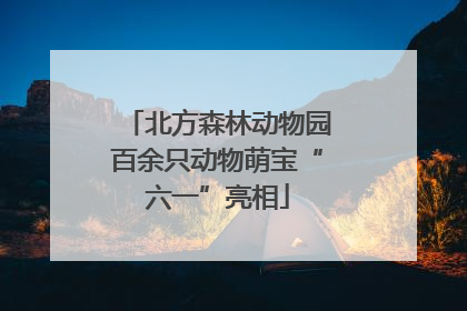 北方森林动物园百余只动物萌宝“六一”亮相
