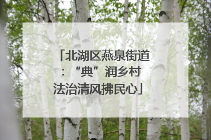 北湖区燕泉街道：“典”润乡村 法治清风拂民心