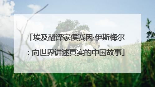 埃及翻译家侯赛因·伊斯梅尔：向世界讲述真实的中国故事