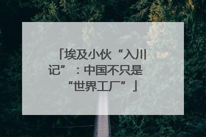 埃及小伙“入川记”：中国不只是“世界工厂”
