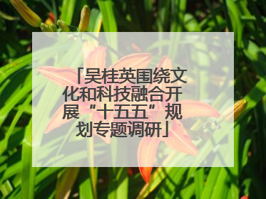 吴桂英围绕文化和科技融合开展“十五五”规划专题调研