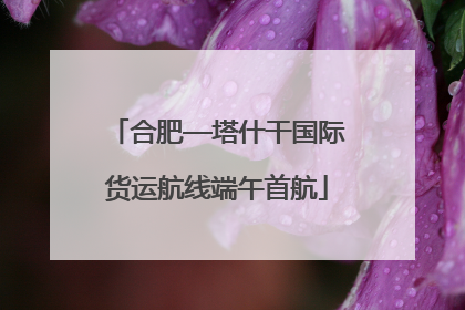 合肥—塔什干国际货运航线端午首航