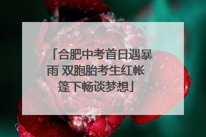 合肥中考首日遇暴雨 双胞胎考生红帐篷下畅谈梦想