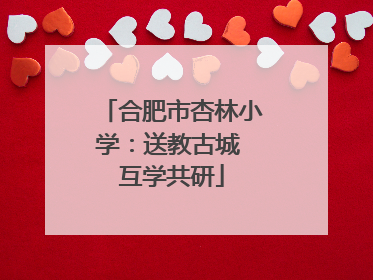 合肥市杏林小学：送教古城 互学共研