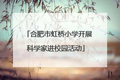 合肥市虹桥小学开展科学家进校园活动