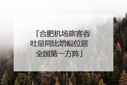 合肥机场旅客吞吐量同比增幅位居全国第一方阵