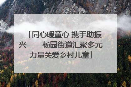 同心暖童心 携手助振兴——杨园街道汇聚多元力量关爱乡村儿童
