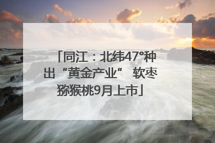同江：北纬47°种出“黄金产业” 软枣猕猴桃9月上市