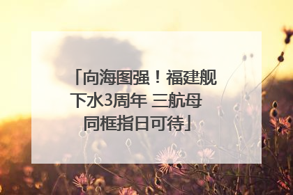 向海图强！福建舰下水3周年 三航母同框指日可待