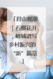 君山观潮｜石榴花开，峄城谱写乡村振兴的“新”篇章