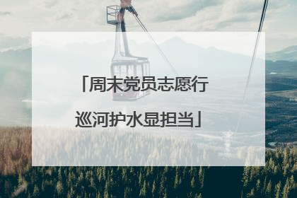 周末党员志愿行 巡河护水显担当