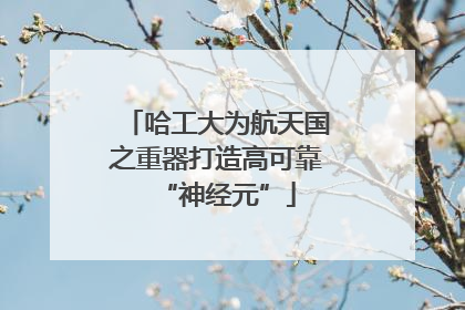 哈工大为航天国之重器打造高可靠“神经元”