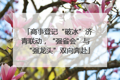 商事登记“破冰”济青联动，“强省会”与“强龙头”双向奔赴