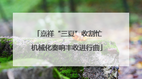 嘉祥“三夏”收割忙 机械化奏响丰收进行曲
