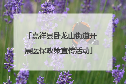 嘉祥县卧龙山街道开展医保政策宣传活动
