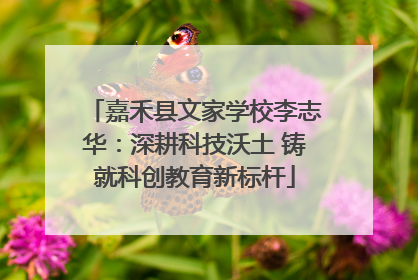 嘉禾县文家学校李志华：深耕科技沃土 铸就科创教育新标杆