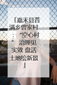 嘉禾县普满乡曾家村：“空心村” 治理见实效 盘活土地绘新景