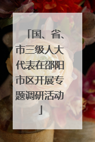 国、省、市三级人大代表在邵阳市区开展专题调研活动