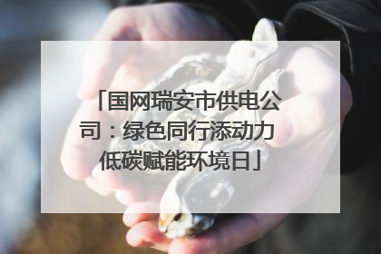 国网瑞安市供电公司：绿色同行添动力 低碳赋能环境日