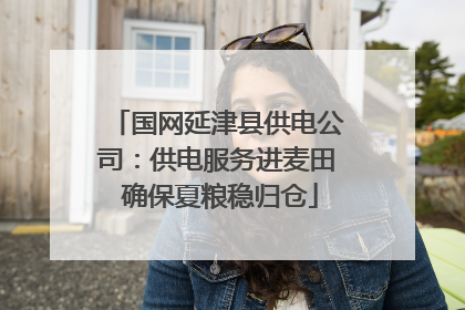 国网延津县供电公司：供电服务进麦田 确保夏粮稳归仓
