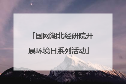 国网湖北经研院开展环境日系列活动