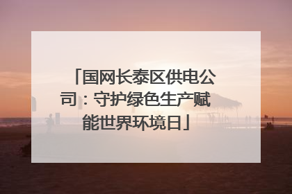 国网长泰区供电公司：守护绿色生产赋能世界环境日