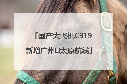 国产大飞机C919新增广州⇌太原航线