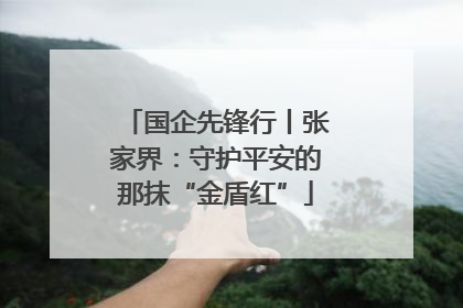 国企先锋行丨张家界：守护平安的那抹“金盾红”