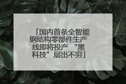 国内首条全智能钢结构零部件生产线即将投产 “黑科技”层出不穷
