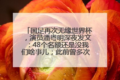 国足再次无缘世界杯，演员潘粤明深夜发文：48个名额还是没我们啥事儿；此前曾多次为国足发声