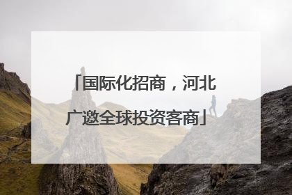 国际化招商，河北广邀全球投资客商