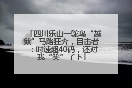 四川乐山一鸵鸟“越狱”马路狂奔，目击者：时速超40码，还对我“笑”了下