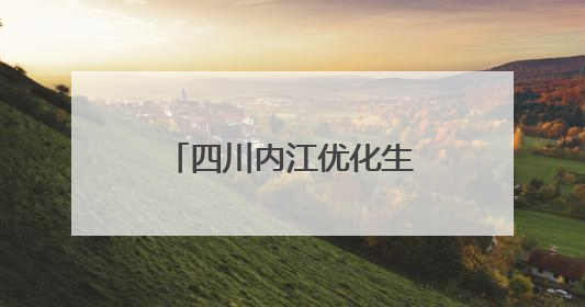 四川内江优化生态环境领域行政服务事项 制定环境执法正面清单