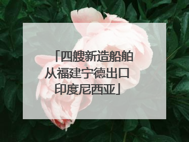 四艘新造船舶从福建宁德出口印度尼西亚