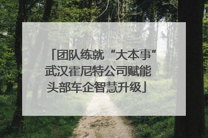 团队练就“大本事” 武汉霍尼特公司赋能头部车企智慧升级