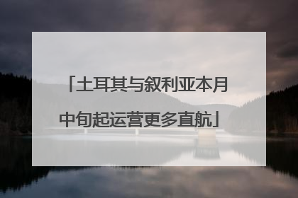 土耳其与叙利亚本月中旬起运营更多直航