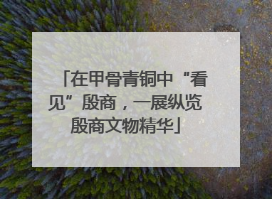 在甲骨青铜中“看见”殷商，一展纵览殷商文物精华