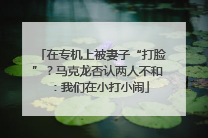 在专机上被妻子“打脸”？马克龙否认两人不和：我们在小打小闹